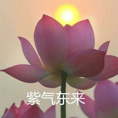 4399梦幻神界天姬录(暂未上线)v1.1 安卓最新版